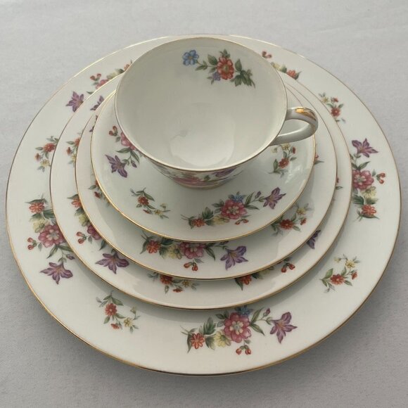 Aladdin Fine China Other - Aladdin Fine China DRESDENIA 5-Piece Place Setting - Multi-Color Floral Pattern